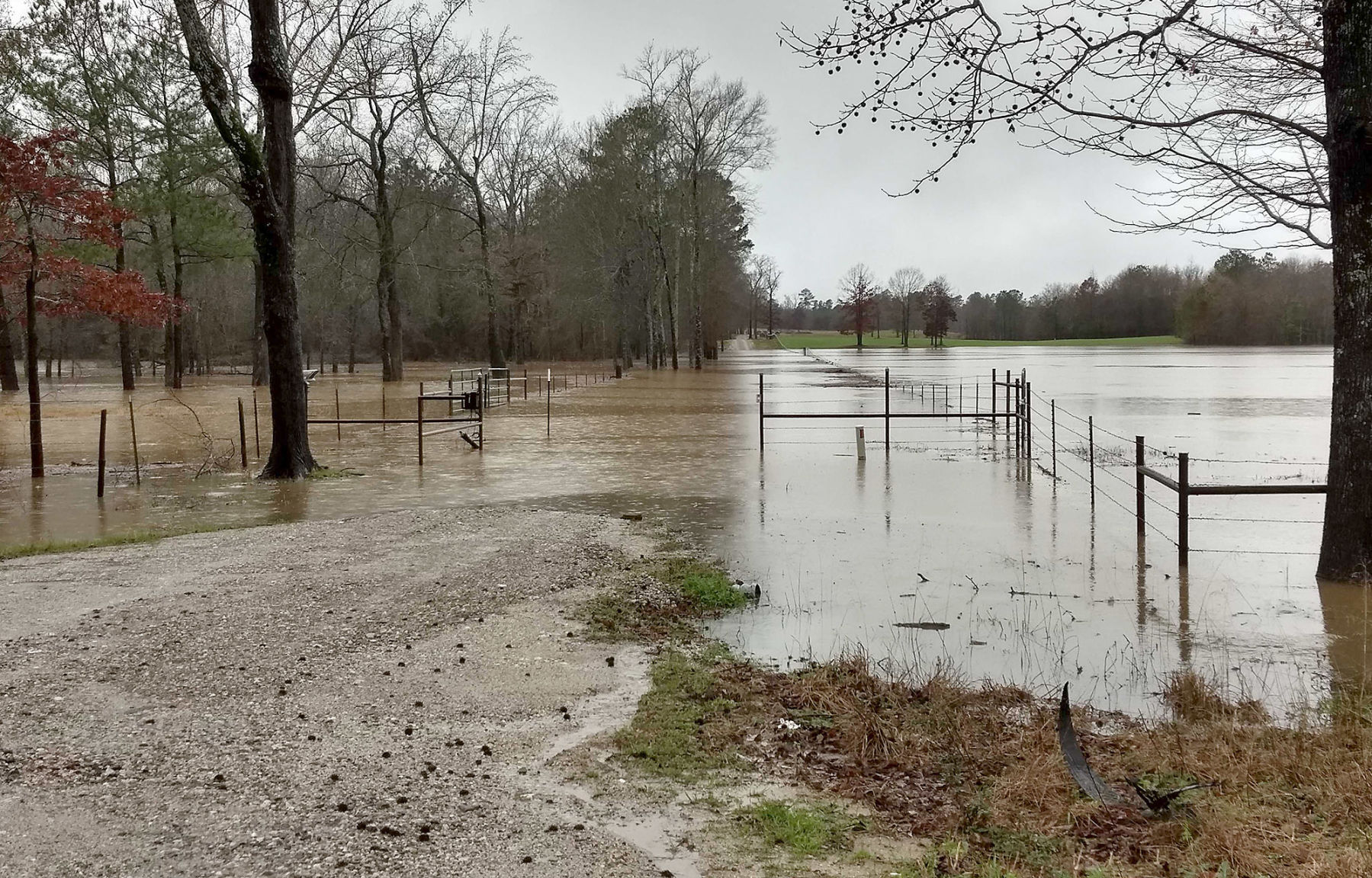 Flooding north of Longview